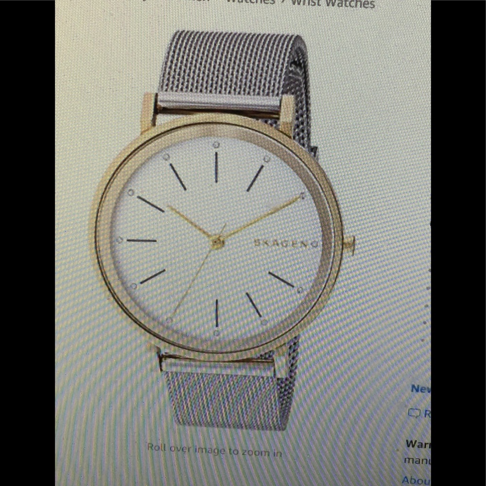 NWT Skagen Hald Steel-Mesh Watch